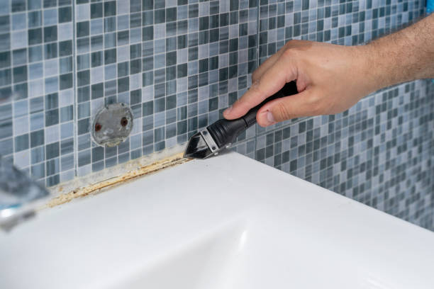 Best Mold Removal and Inspection  in Chester, NY